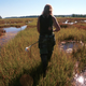 A mosquito-control expert searches a New Hampshire marsh in July 2000 for mosquitoes that could carry West Nile.